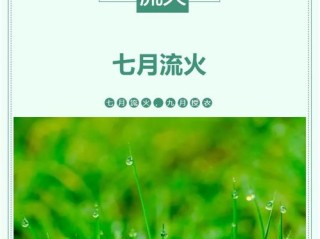 七月流火，30天天气预报里的盛夏密码