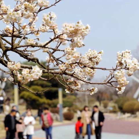 日照最新天气预报(日照最新天气预报来了没) 日照最新天气预报(日照最新天气预报来了没)