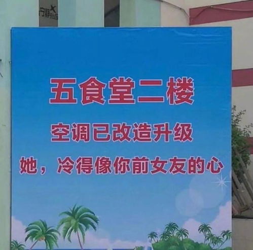 希望天气官方版（用有就有造句）