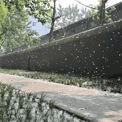 暴雪红色预警拉响，一场覆盖数亿人的极端天气考验