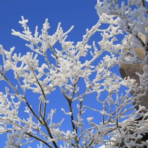 冷空气冻真格!下周重庆将迎雨雪天气,高海拔地区或现银装素裹 冷空气冻真格!下周重庆将迎雨雪天气,高海拔地区或现银装素裹