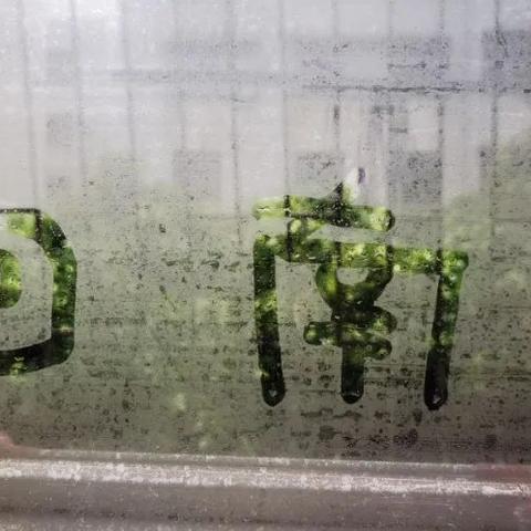 香港正挂牌板挂牌资料-广州天气30天预报，回南天与雷雨交织，未来一个月天气变化全解析