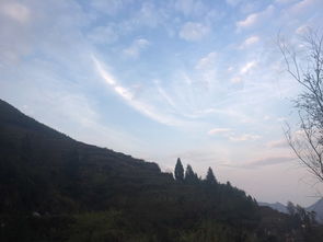加拿大2.8在线开奖结果预测-缙云天气预报15天,从山间云雾到城市晴雨的精准守望 加拿大2.8在线开奖结果预测-缙云天气预报15天,从山间云雾到城市晴雨的精准守望