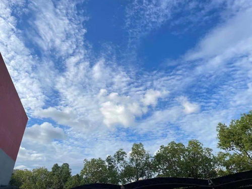 北京朝阳区天气预报，今日晴转多云，午后风力渐强