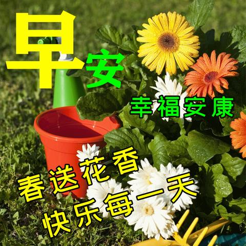 从天气预报到天气网,我们如何一步步读懂天空的表情包 从天气预报到天气网,我们如何一步步读懂天空的表情包