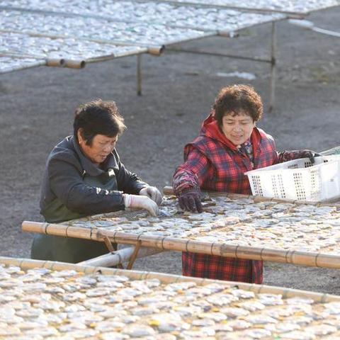 玉环天气预报15天,海岛气候的精准预判与生活指南 玉环天气预报15天,海岛气候的精准预判与生活指南