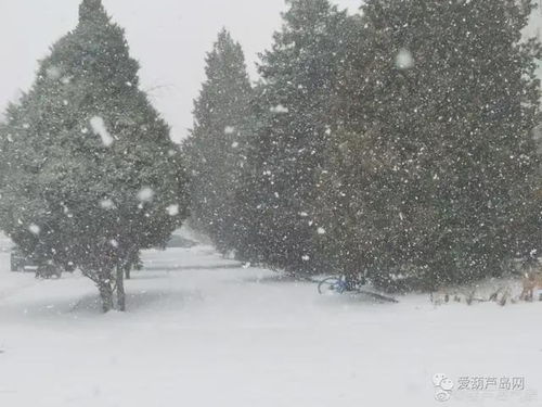 河北将迎大雪大风降温,寒潮来袭,全省进入速冻模式 河北将迎大雪大风降温,寒潮来袭,全省进入速冻模式