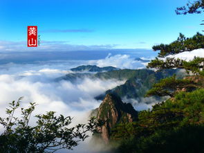 黄山天气预报，云雾之巅的天气密码，登顶前必看的出行指南