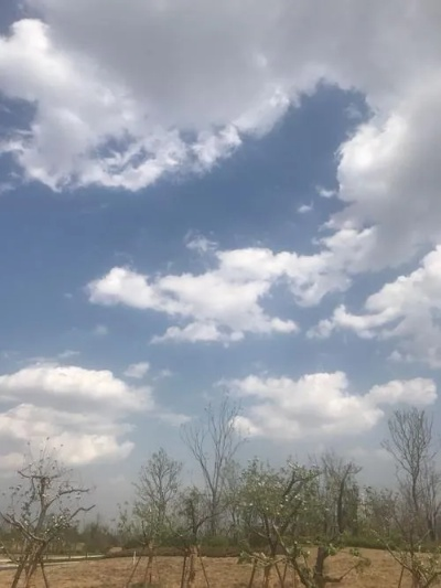 新郑天气，四季流转中的中原记忆