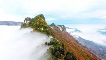 探秘北纬31°的绿色奇迹，神农架旅游全攻略