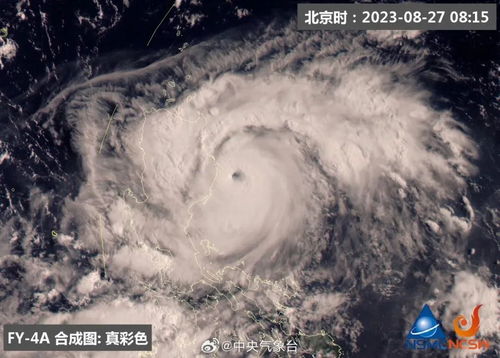 温州气象台台风网，守护城市安全的云端哨兵