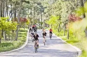 桂林气温最近10天,忽冷忽热如坐过山车,市民感叹春如四季 桂林气温最近10天,忽冷忽热如坐过山车,市民感叹春如四季