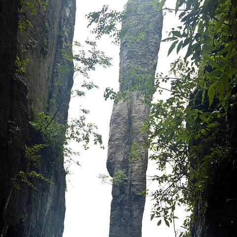 四川天气，一城云雾，四季人间