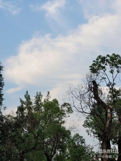 15天天气，在变幻中寻找生活的节奏