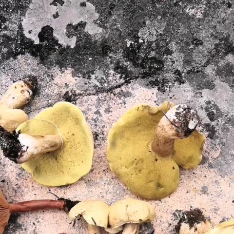 青海天气预报，高原天气的变幻与应对